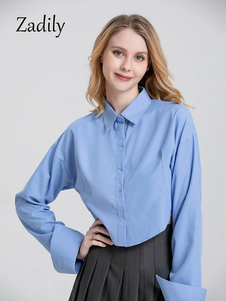 Women\'s Long Sleeve Blue Crop Top, Korean Style, Button Up, Minimalist Female Tops, Work Clothing, Office Lady, Summer, 2024