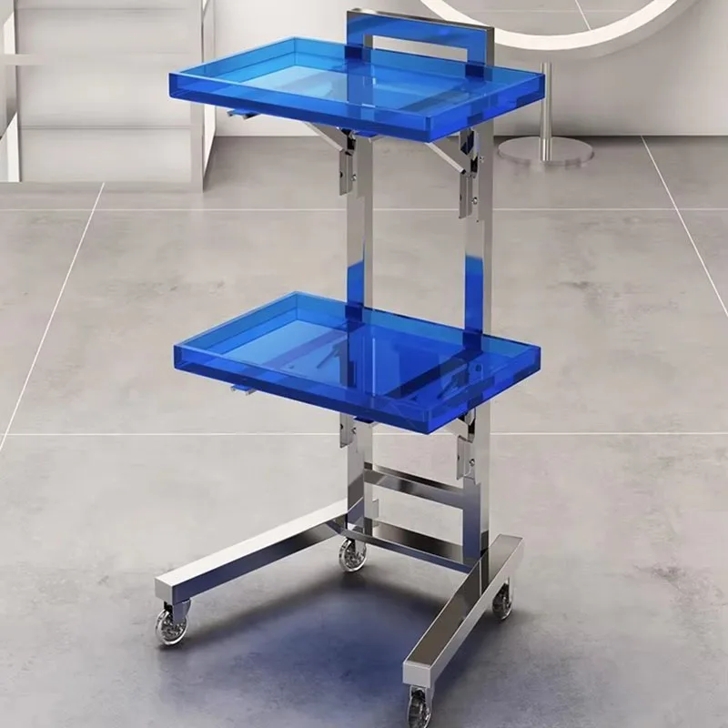 Pedicure-trolley Workshop Tool Storage Salon Accessories Furniture Beauty Hairdresser Machine Muebles Spa Hair Equipment