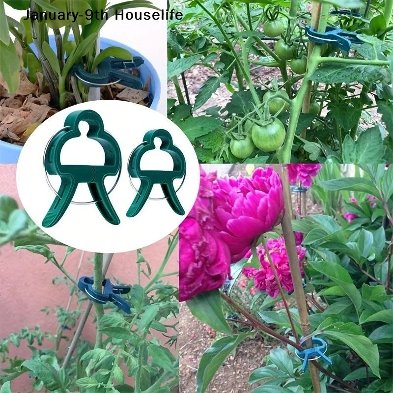 Plant Fixed Clips Reusable Gar - Vine Climbing Plastic 评论和价格