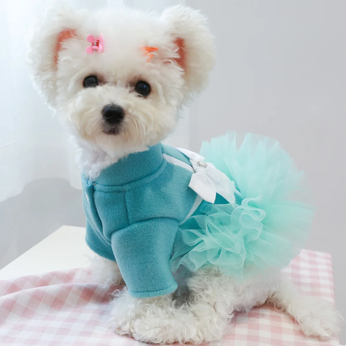 1PC Pet Apparel Dog Cat Autumn Winter Thickened Warm Blue Ladies Temperament Gift Box Bow Princess Dress For Small Medium Dogs