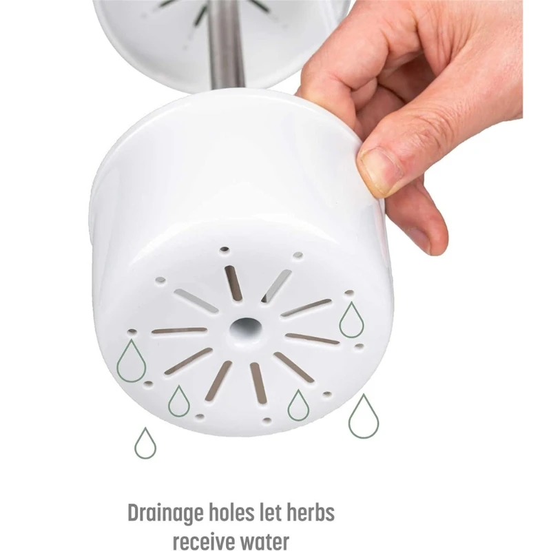 Modern Cilantro Storage Container highlighting Air Openings For Improved Moisture Control HX6C