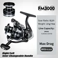 FM3000