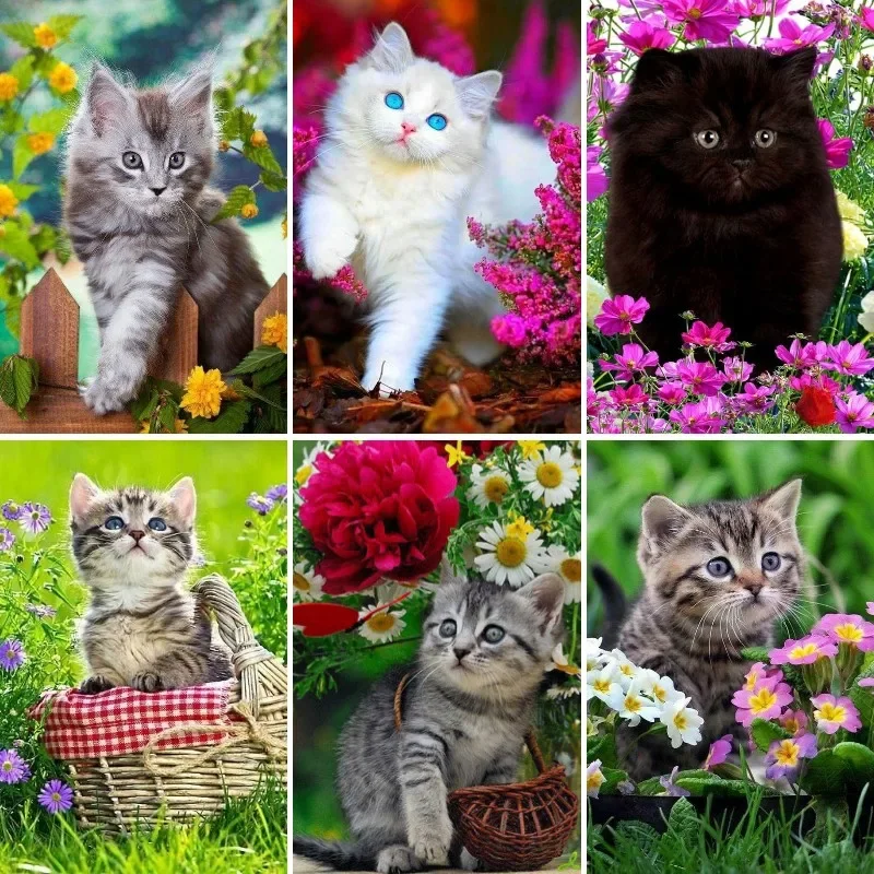 Kits de pintura de diamantes 5D DIY, Gato bebé, arte de diamantes, Gato Tabby, gatito, cuadros de diamantes de imitación para adultos, decoración de pared