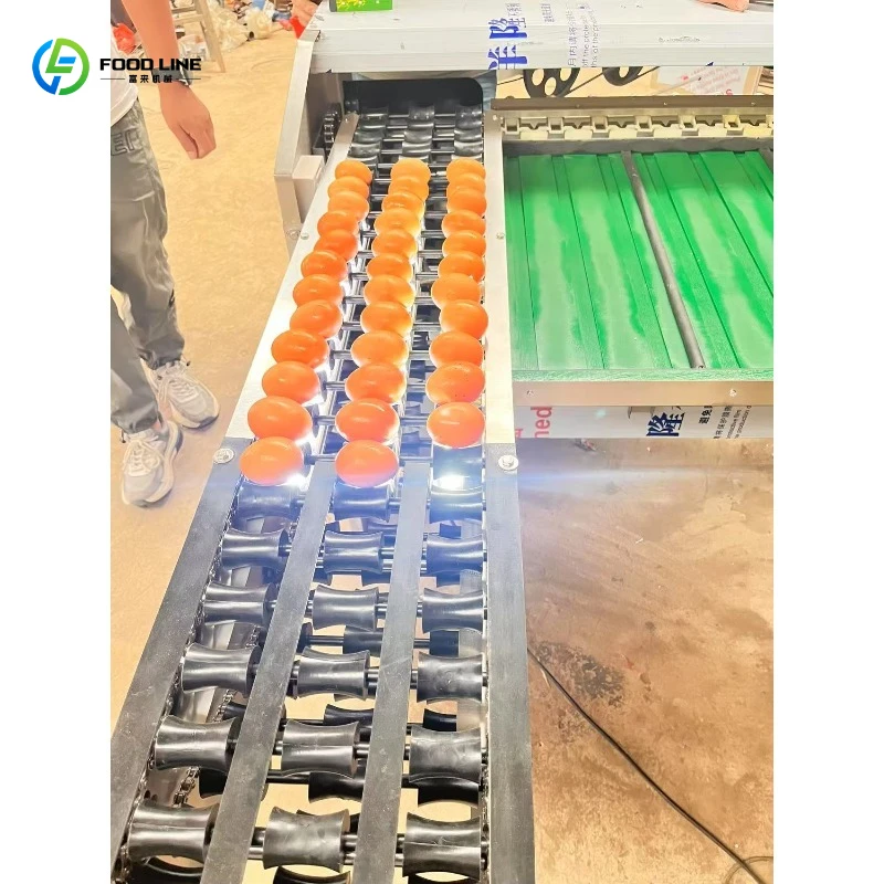 Space Saving Mini Automatic Egg Weight Classifier Easy Storage Egg Sorting Grader