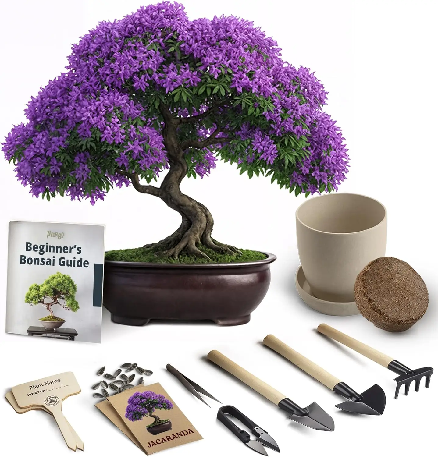 Complete Bonsai Starter Kit with Jacaranda Tree, Tools & Planter - Indoor Gardening Gift for All