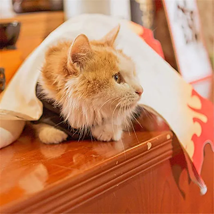 New 2025 Demon Slayer Anime Peripherals Cute Kawaii Cats Dogs Pet Clothes Cos Tanjirou Nezuko Zenitsu Giyuu Holiday Gifts