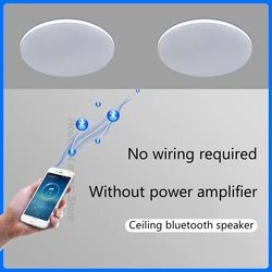 High Quality Home Theater Ceiling Speakers 30W High Power Host Wiring-free Wireless Bluetooth Connection With Remote Control