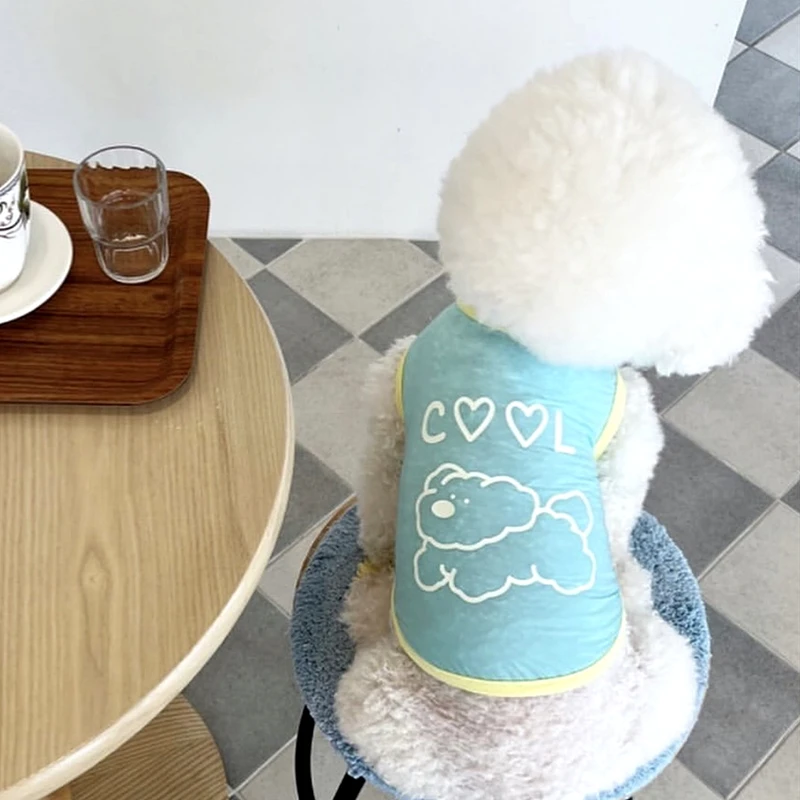 Summer Teddy vestiti anti-uv Pet Cool Feeling Vest Pet protezione solare vestiti Bichon Frise Pullover traspirante forniture per animali domestici
