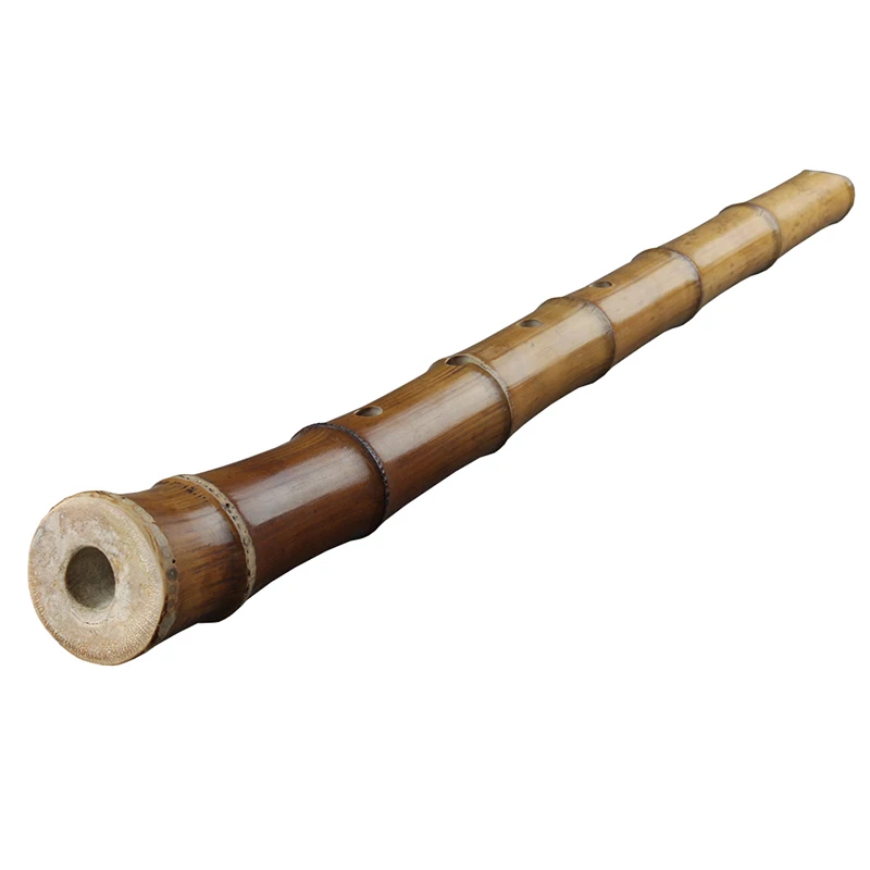 5 Holes Japan Style Shakuhachi D Key Musical Instruments Bamboo Flute With Root Woodwind Instrument
