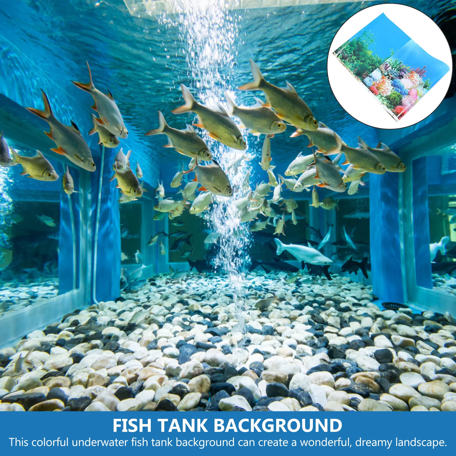 Fish Tank Aquarium Decor Backg - Fish In Aquarium Picture review and price