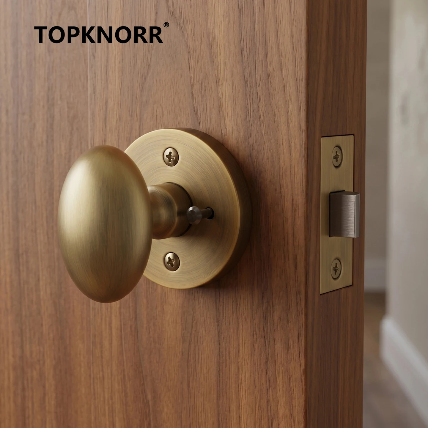 Serrure de toilettes en forme  - Zinc Furniture Hardware avis et prix