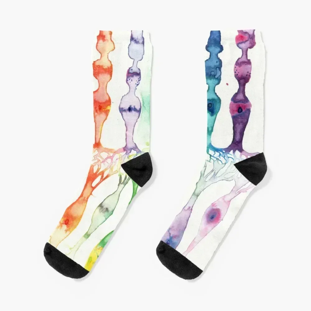 

Cone cells and rod cells in the retina watercolor painting Socks ankle luxe Stockings man Socks Man Women's
