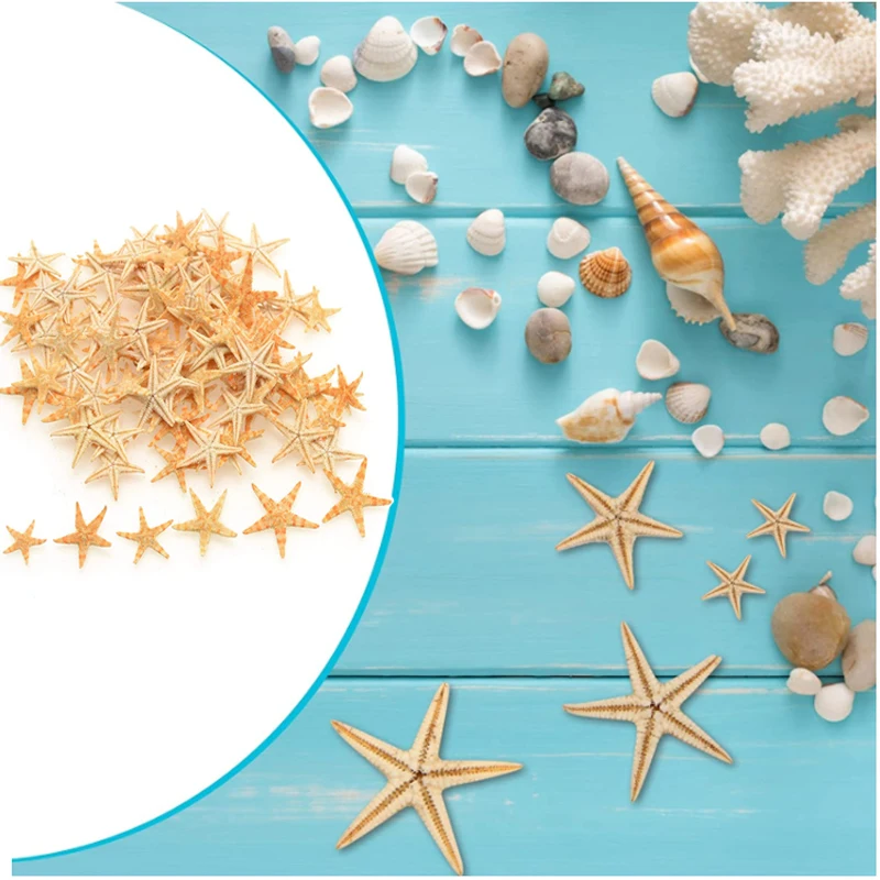 Hot new Natural Starfish Seashell Beach Craft Natural Sea Stars DIY Beach Wedding Decoration Crafts Home Decor Epoxy