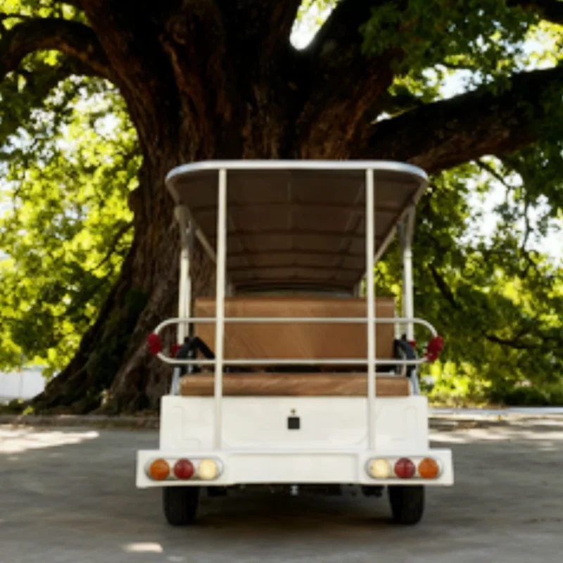 

Smart Design Hot Sale Electric Car Shuttle Bus Electric Tour Bus Guaranteed Fast Shipping Powerful Motor 5KW Sunshine Curtain