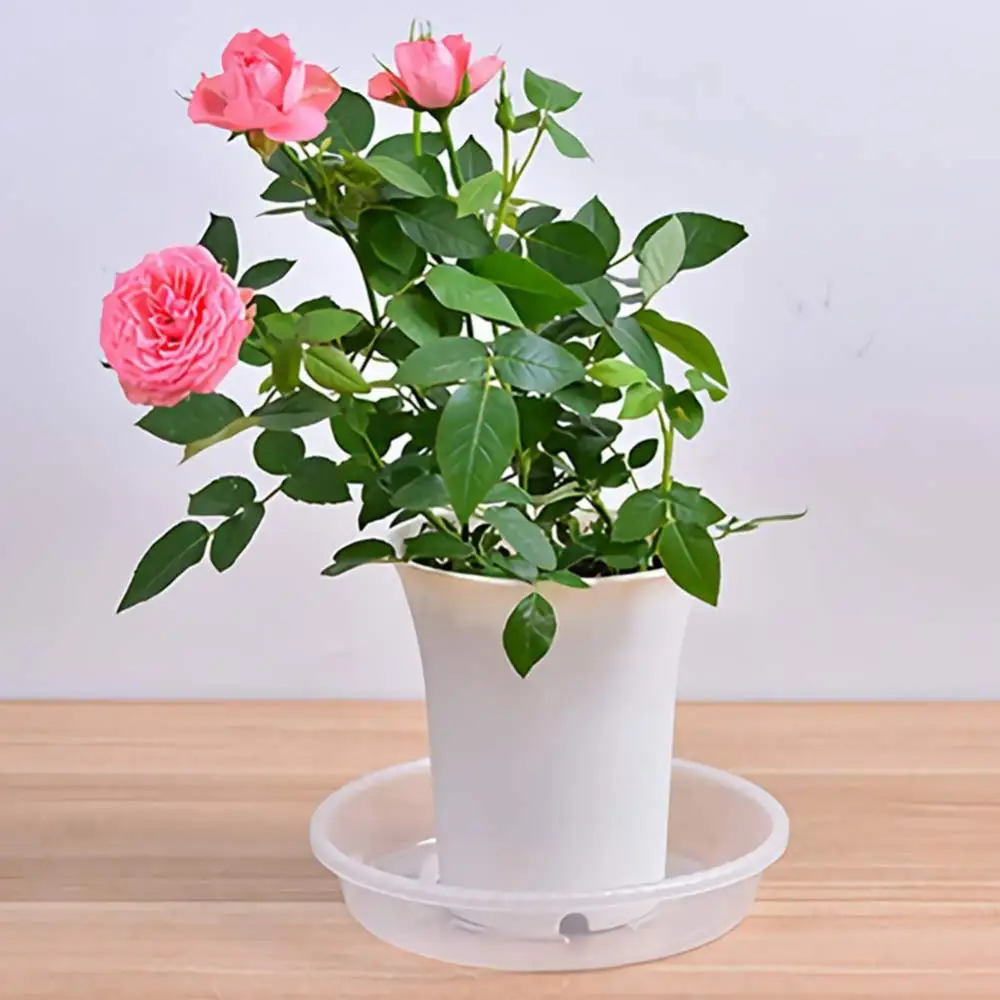 

10Pcs Plastic Round Shape Flower Pot Drip Trays Planter Pallet Clear Creative Saucers Decor Home Garden Pot Case