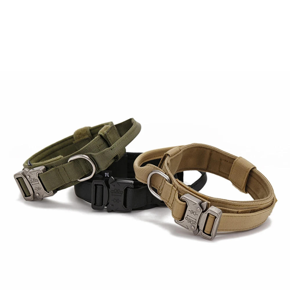 Thumbnail 2 - #7 Highest Rated Dog Training Collars to Buy in 2026