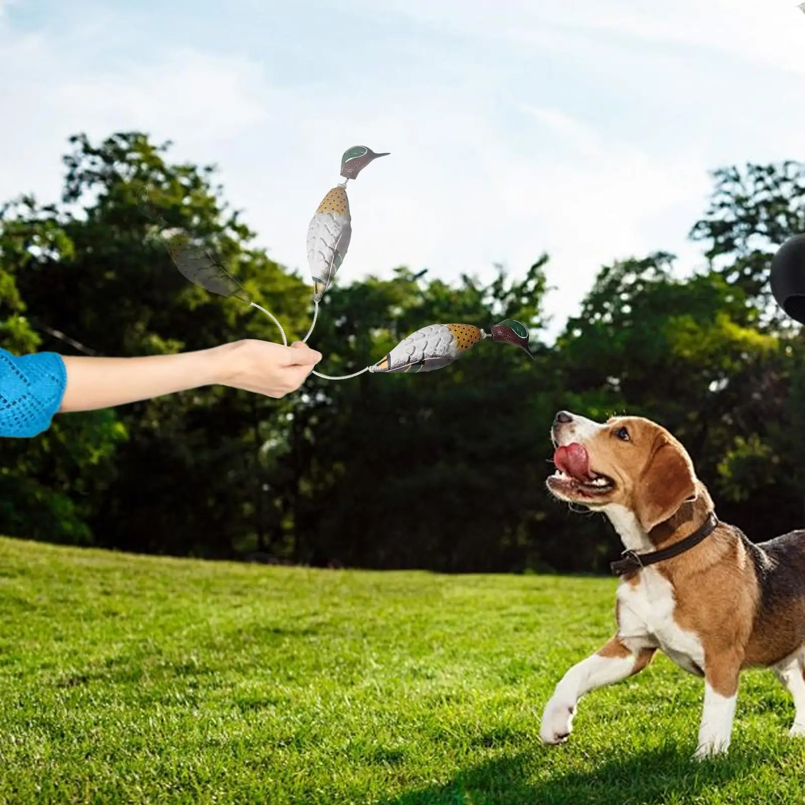 Игрушка для тренировки уток для собак, фазан, игрушки для собак для охоты, ретривер, аромат, плавающие приманки, тренажер для птиц, интерактивные товары для домашних животных Игрушка для тренировки уток для собак, фазан, игрушки для собак для охоты, ретривер, аромат, плавающие приманки, тренажер для птиц, интерактивные товары для домашних животных