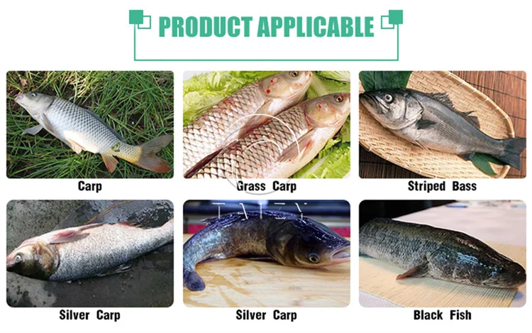 Automatische Kabeljauw Anchovy Forel Zalm Meerval Tilapia Vis Rook Sashimi Snijmachine Filet Machine Prijs