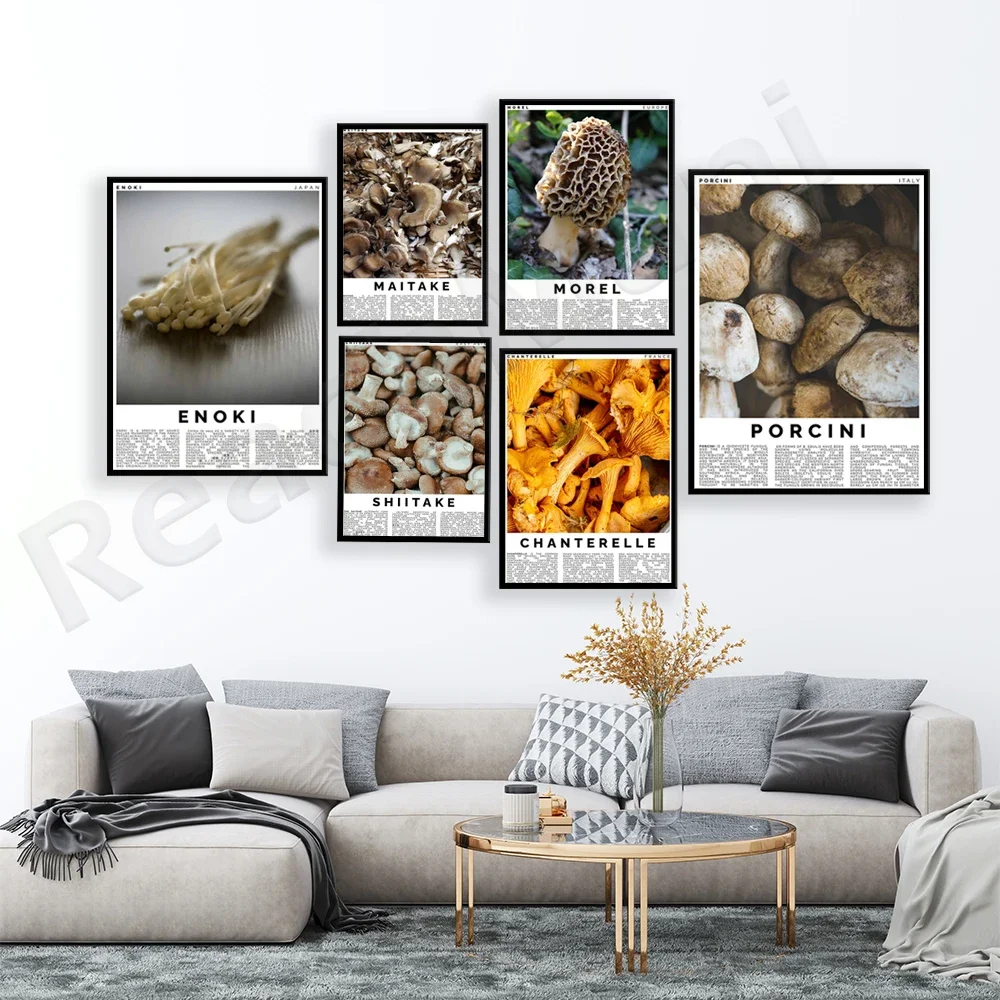 Botanist, white truffle, champignon, chanterelle, maitake, morel, porcini, enoki mushroom poster art kitchen decor, cooking gift