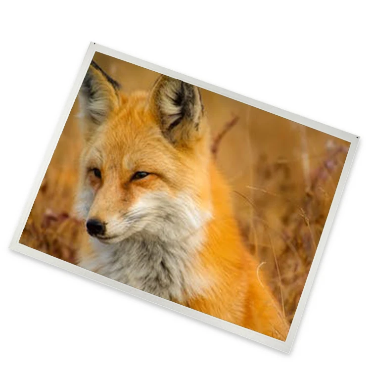 95% New KCS077VG2EA-G22 7.7 inch 640*480 CSTN-LCD Display tested ok Zhiyan supply