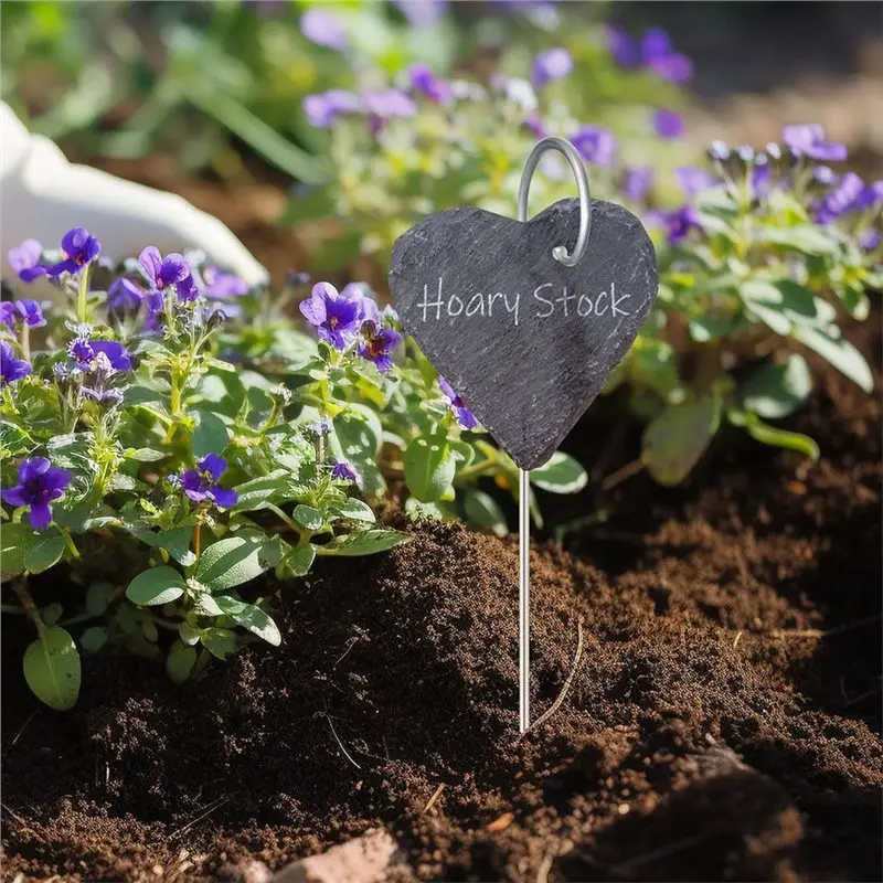 A93Z Silver Plant Label Hooks 30 Pack, Rust-Proof Garden Stakes 30Cm/11.81In, Plant Sign Supports For Flowers, Containers Marker