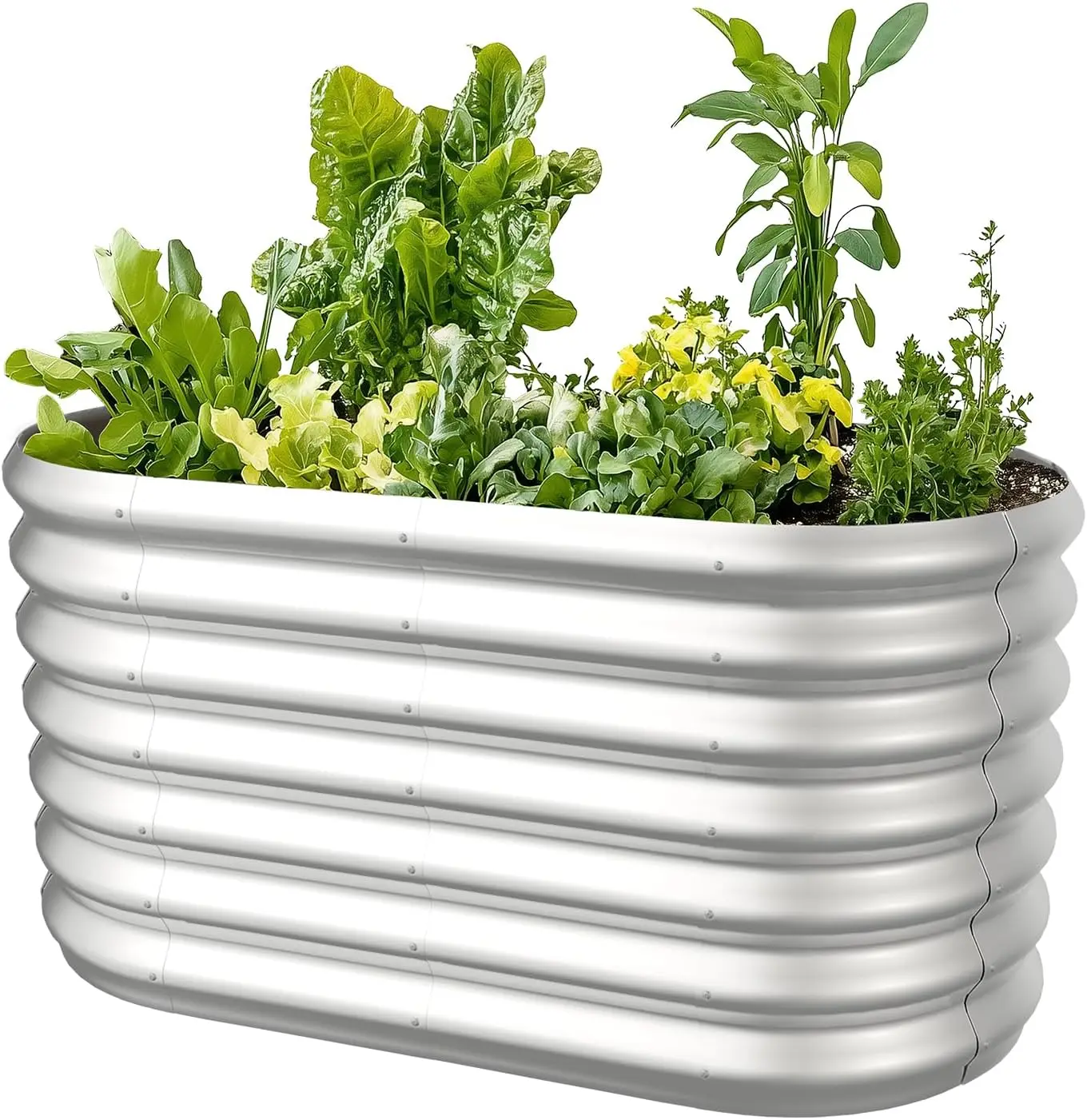 

4x2x2ft овальные оцинкованные поднятые садовые кровати, большая металлическая модульная коробка для цветов, 9-в-1, приподнятые кровати для садоводства, овощные