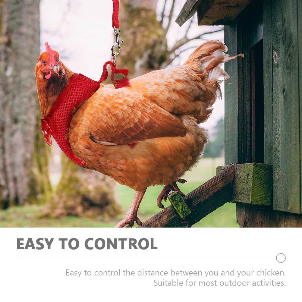 

2Sets Pet Rooster Harness and Leash Combo Strong Pulling Resistant Chicken Harness for Outdoor Activities Secure Walking