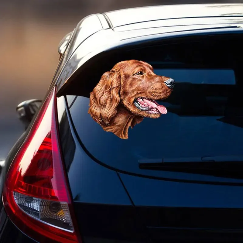 Various Sizes Self-adhesive Decal Irish Setter Car Sticker Waterproof Auto Decors on Bumper Rear Window 10/13/17/20CM PVC KK