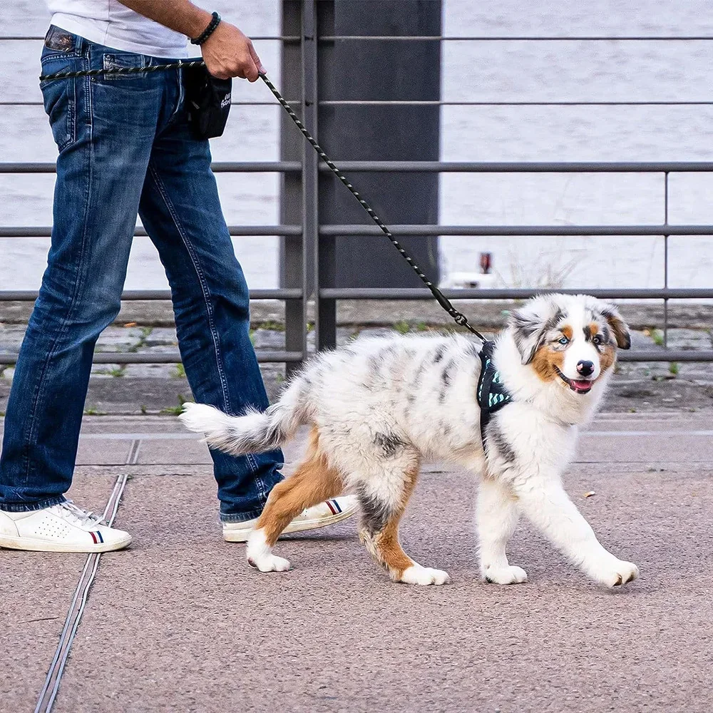 1.2cm 150cm/300cm Heavy Duty Nylon Braided Rope Dog Leash Comfortable Padded Handle Reflective Leashes for Medium Large Dog