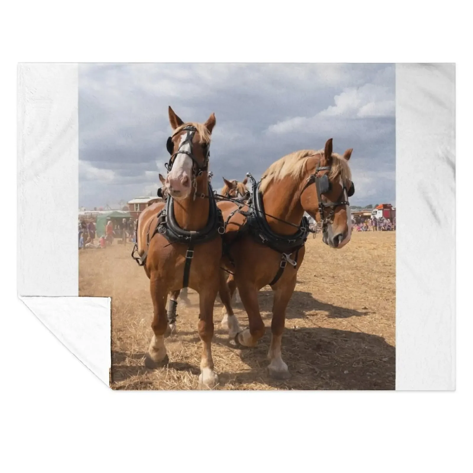 

Belgian Beauties Throw Blanket Furrys Furry Cute Plaid Stuffeds Blankets