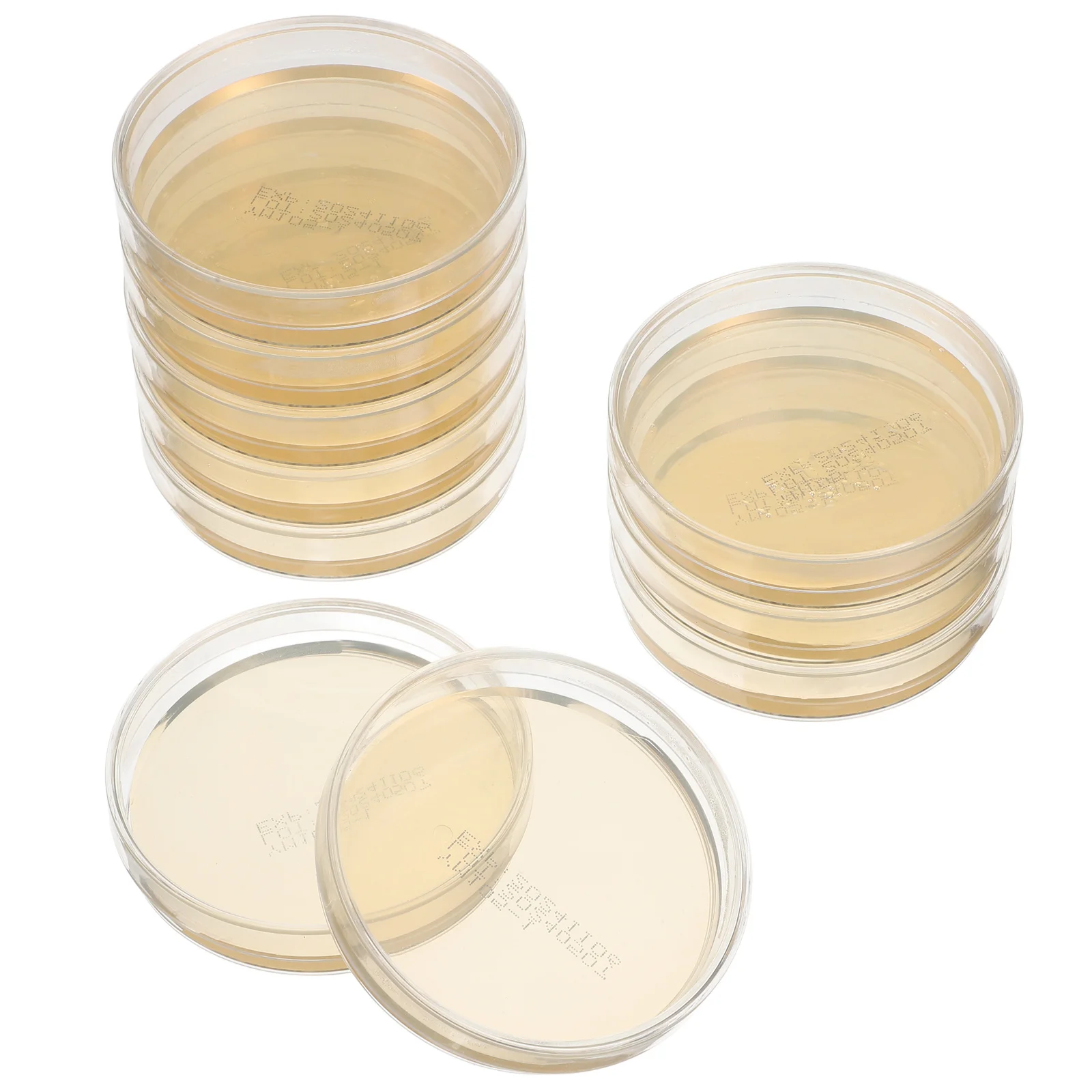 juego-de-6-placas-de-agar-preparadas-placas-de-petri-prevertidas-rellenas-de-nutrientes-prevertidas-prepored