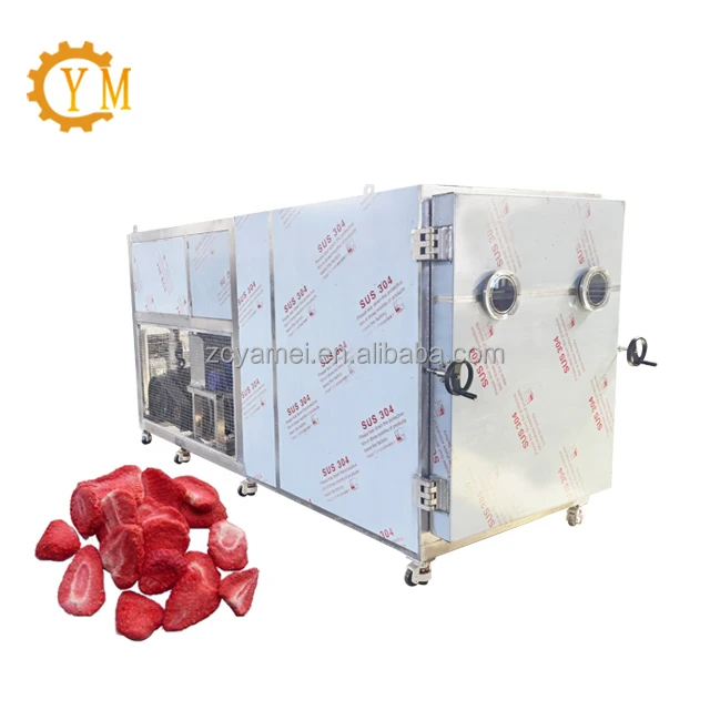 Small vacuum freeze dryer for sea cucumber