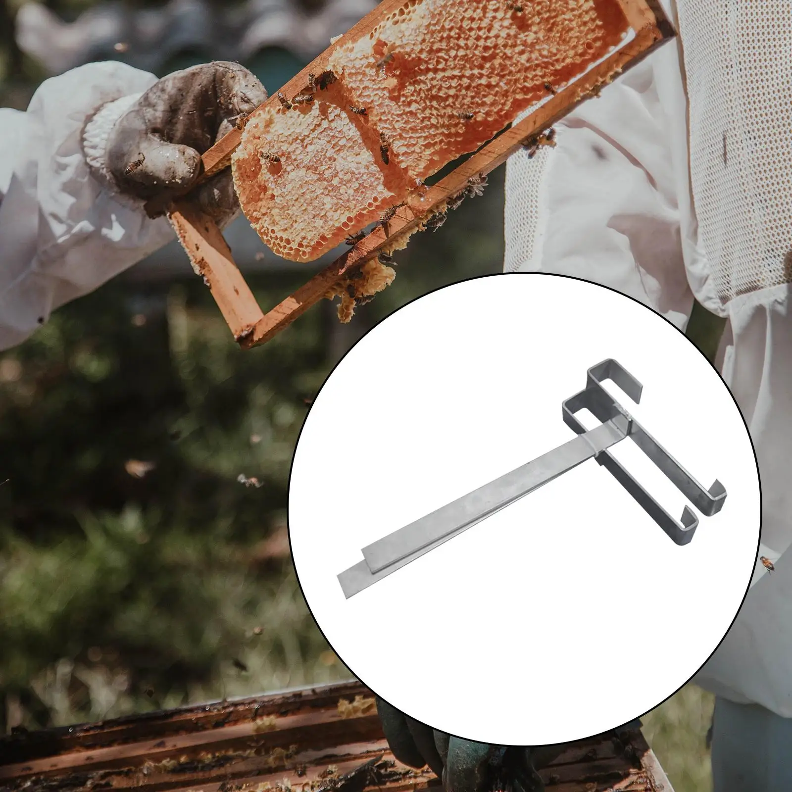 Beehive Frame Holder Side Mount Stainless Steel Workshop Organizer Beekeeping Tools for Bee Box Management