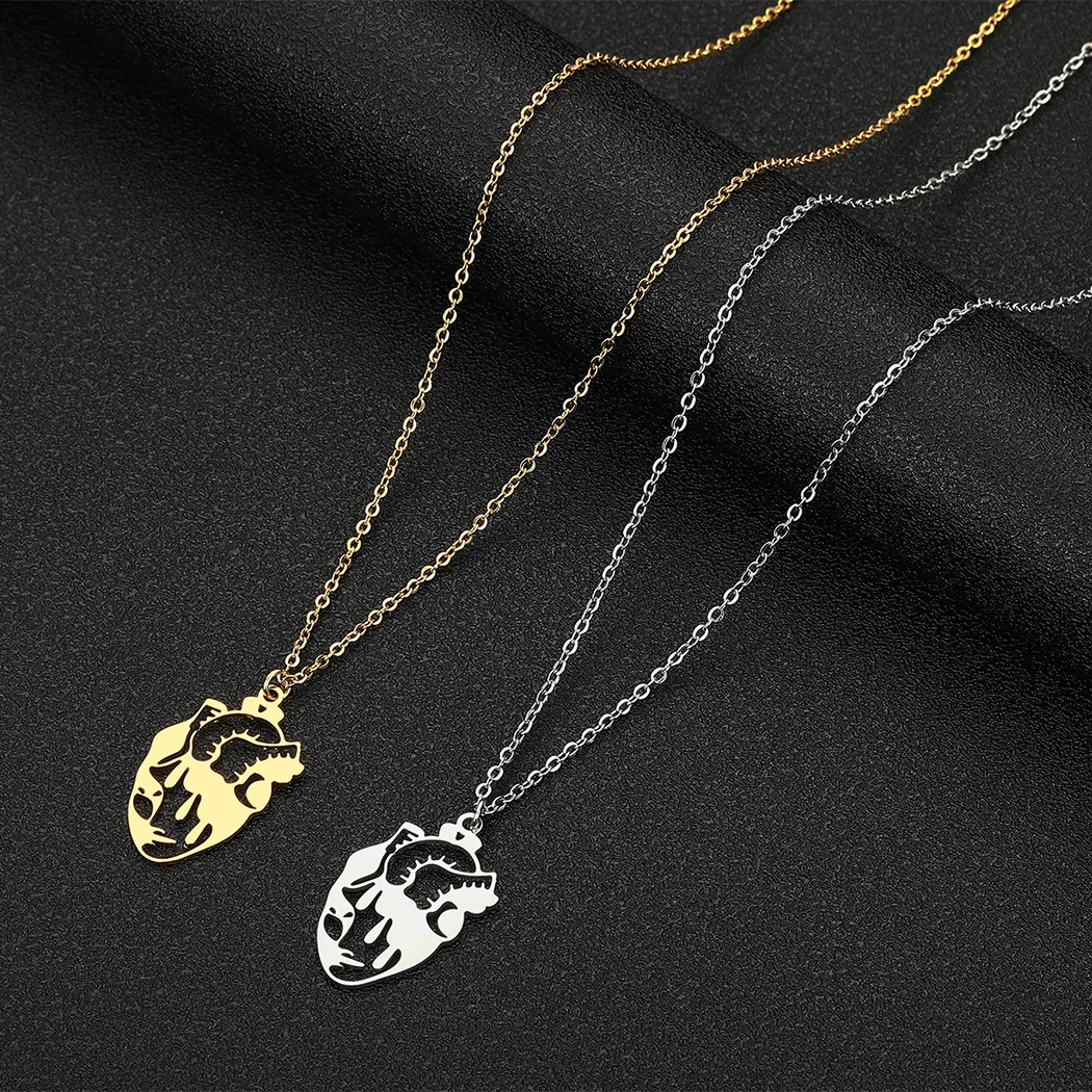 Hollow Heart Necklace for Women Girls Human Organs Shaped Pendant Stainless Steel Heart Charm Chain Collar Gift for Doctor Nurse