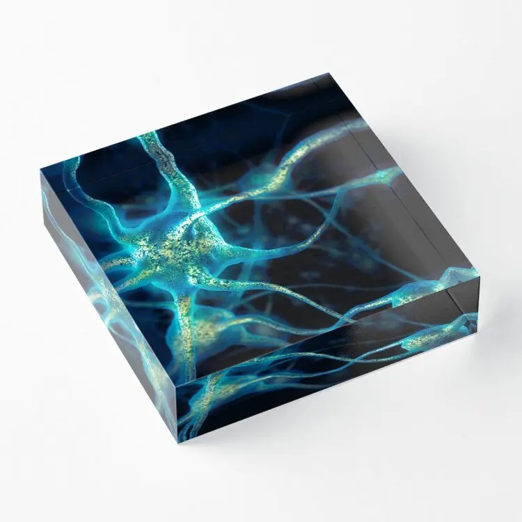 Neuron Network Brain Cells Art Photo Pri  Acrylic Block Art Cute Bedroom Photos Decoration Process Pad Funny Home Family Board