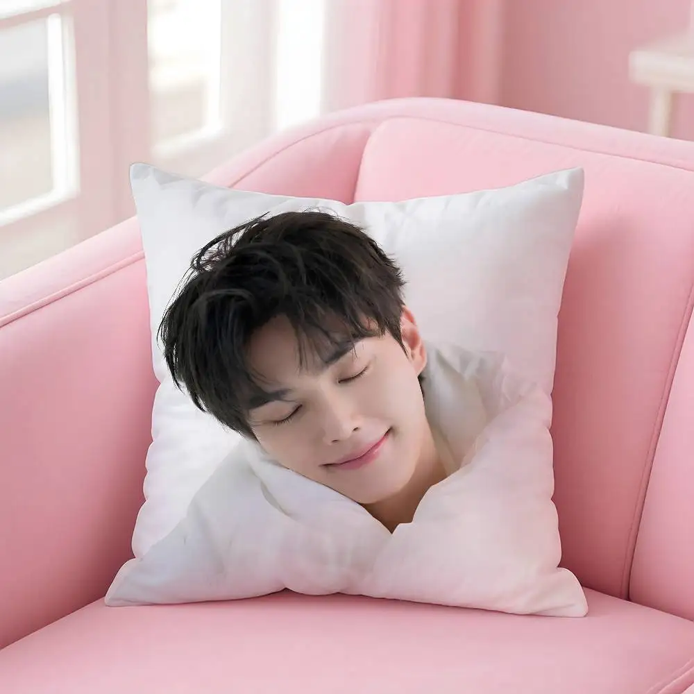 Kpop الممثل الساخن S-Song كانغ كيس وسادة مكافحة الغبار المخدة غير مرئية سستة حريري قصير أفخم غطاء وسادة أريكة