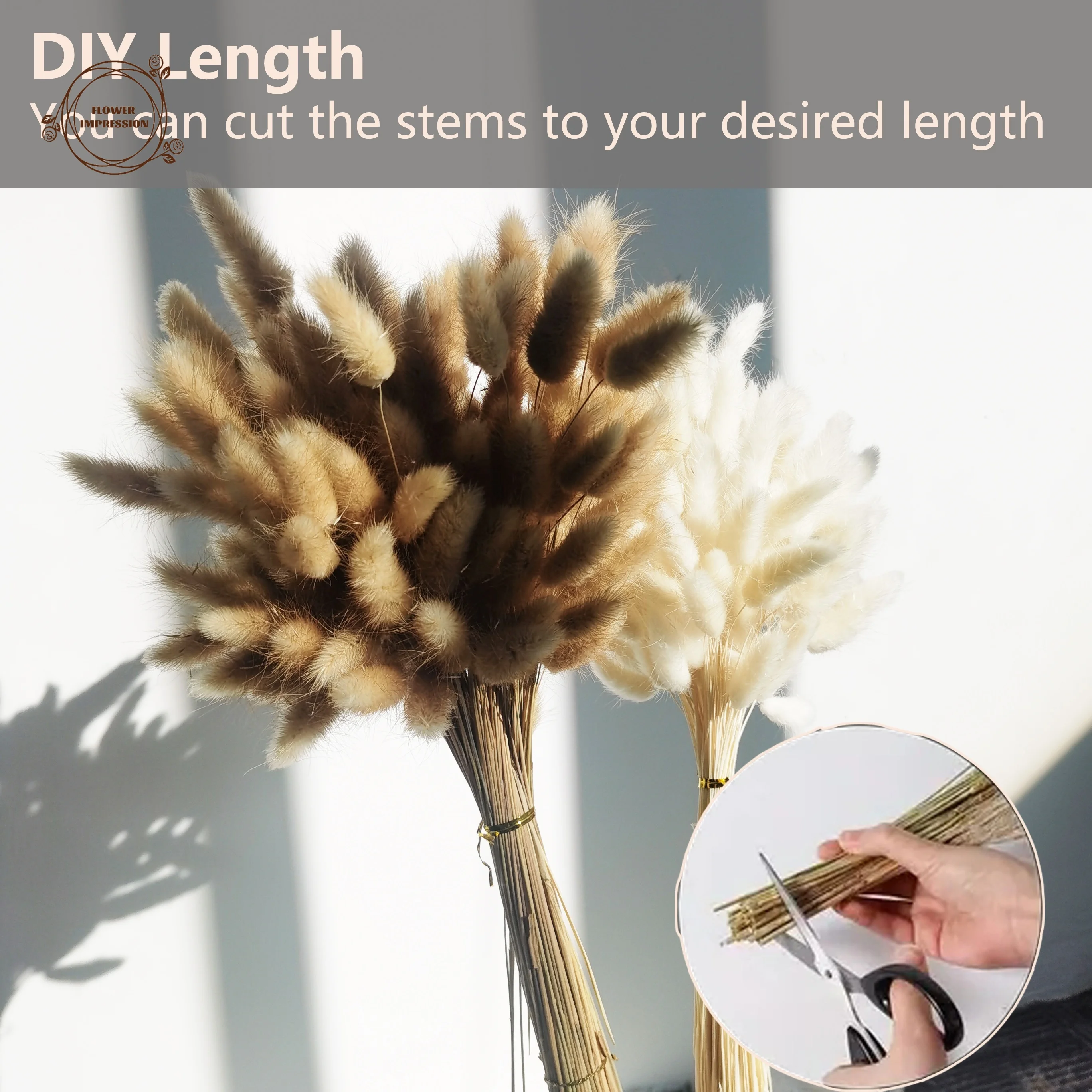 Thumbnail 4 - #43 Top Dried Flowers Picks for Every Budget