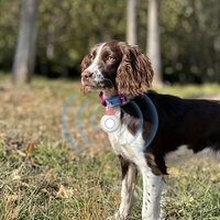 USB Rechargeable Ultrasonic Pest Reject Flea Tick Lice Repeller Electronic Flea Repellent Portable Pet Repeller for Dogs & Cats