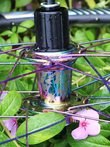 TANKE 120 Click Hub 6 Bearing MTB Mountain Bike Hub Front Rear 28 32 36 Holes QR Thru-axle Exchange Disc Brake Bicycle Hubs HG