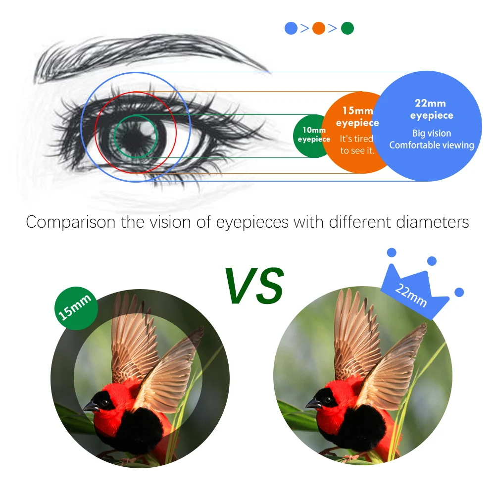 Imagem -05 - Grande-tamanho Poderoso 10x42 Binóculos para Adultos Compacto Observação de Aves Telescópio Viajar Caça hd