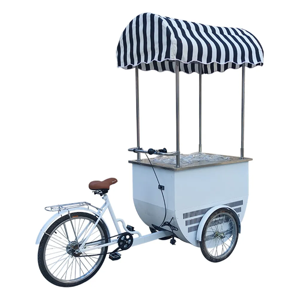 

Italian Cold Plate Ice Cream Bike Ice Slush Vending Tricycle 3 Wheel Fried Ice Cream Roll Cargo Bike