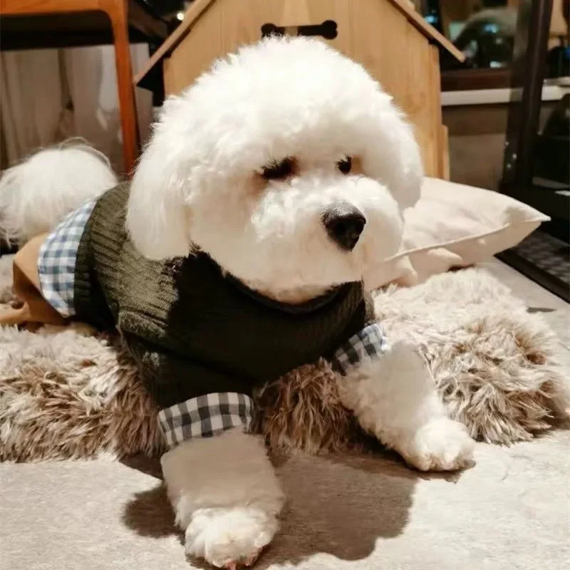 Autumn and Winter Pet Four legged Cotton Clothes Teddy Bears Bomi Schnauzer Yorkshire Small Dog Warm Clothes