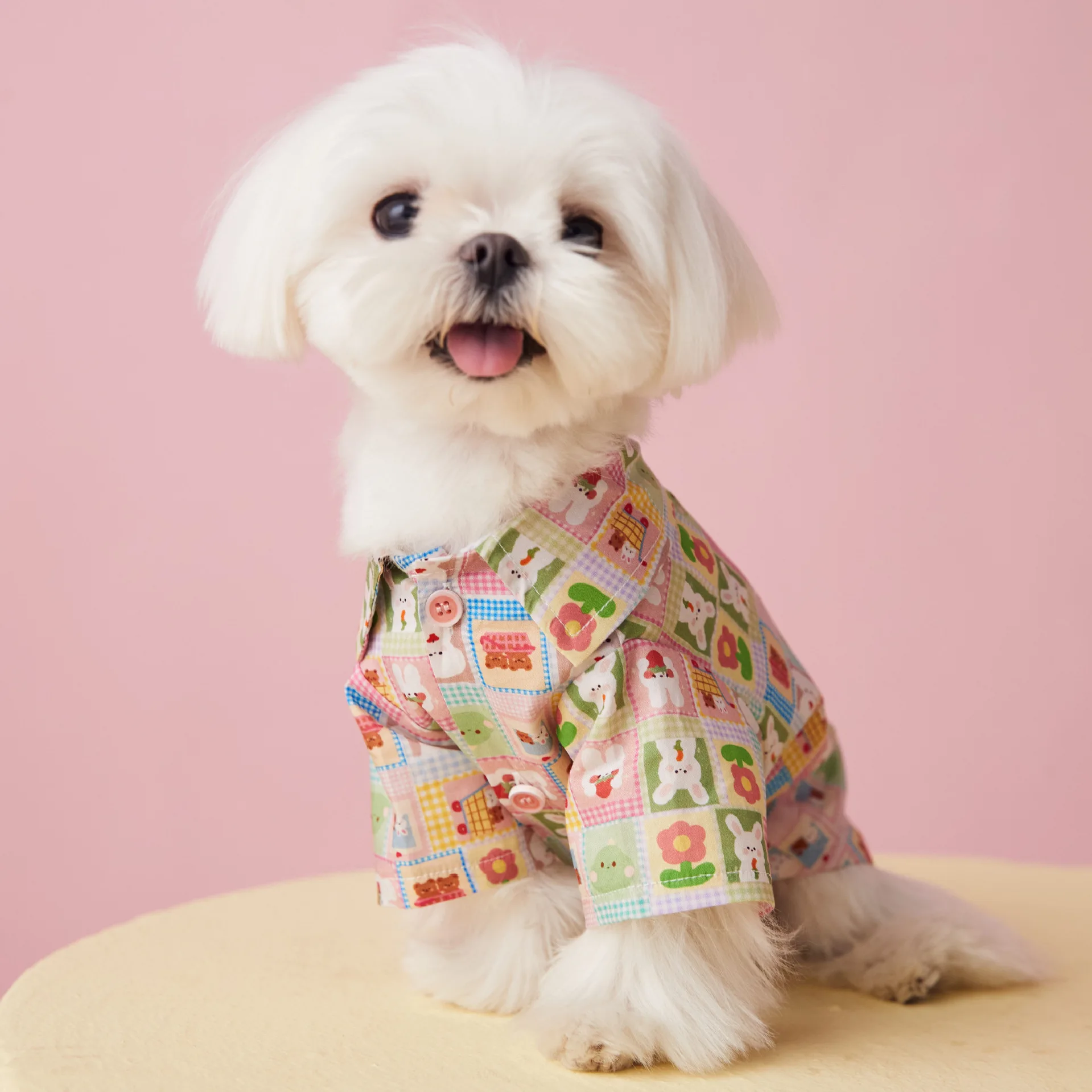 

Maltese Small Dog Blouse, Yorkshire Schnauzer, Cat Clothes, Summer, Medium, Thin, Cute