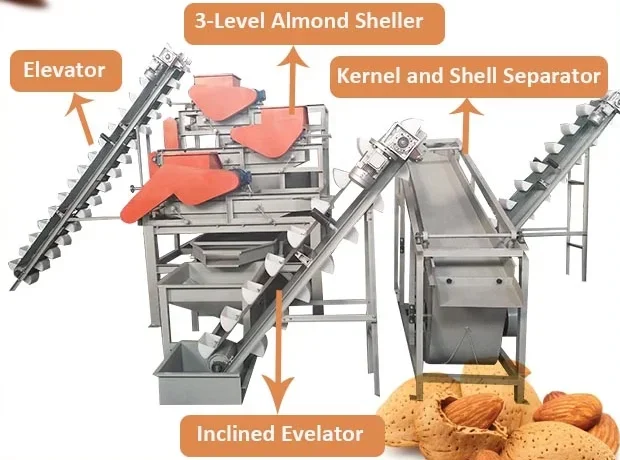 Almond/Apricot Kernel/apricot Seed Hazelnut Shelling And Peeling Machine