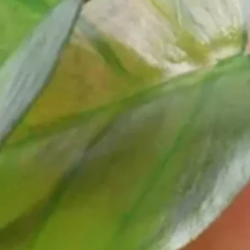 Поддельные-украшения-для-аквариума-гамак-с-зеленым-листом-для-рыбы-Бетта-декор-для-аквариума-уменьшающий-стресс-с-присоской-натуральный-среда-обитания