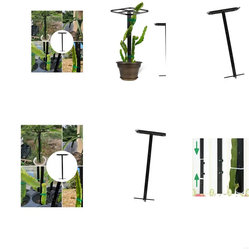 

Metal Garden Trellis Tall Plant Cage Easy Assembly For Vertical Growth Support L5BE