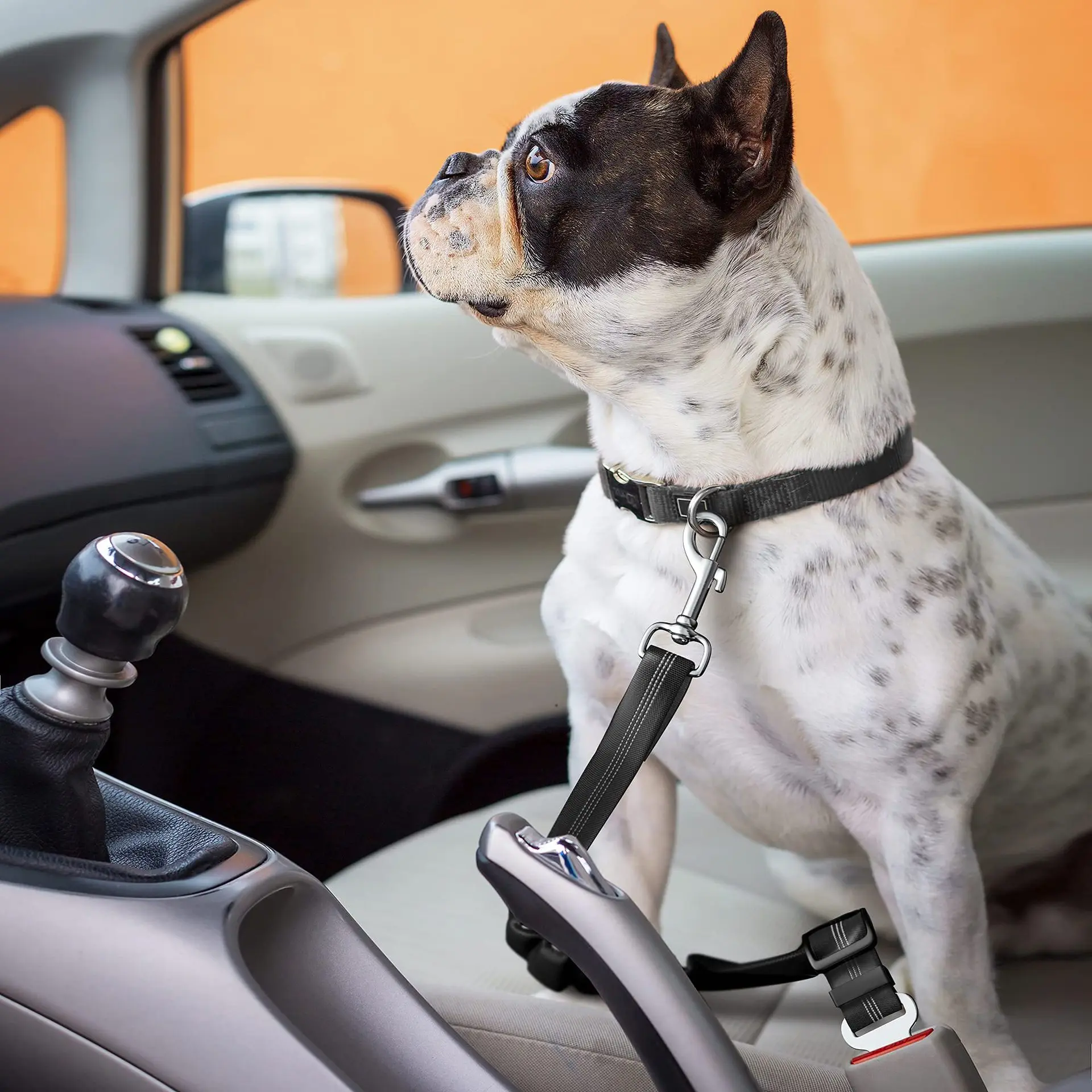 Cuerda de tracción para perros, cinturón de seguridad para coche, punzón a prueba de explosiones, correa para el pecho para mascotas, cuerda para caminar para perros, telescópica automática, viaje para perros pequeños