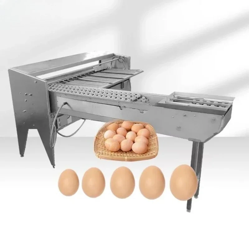 Stainless Steel Corrosion Resistant Automatic Egg Grader Egg Weight Sorting Machine
