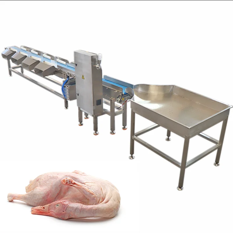 Dragon Fruit Elbow mango Poultry mango Squid Small Avocado Sorting Fish Weight Grading Machine Kehong KHFX-6 Low Noise