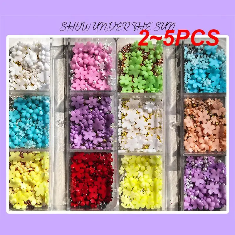 2~5PCS Grids Acrylic Flower Nail Parts Mixed Steel Beads Charms Design Nail Art Decoration Jewelry Accessory